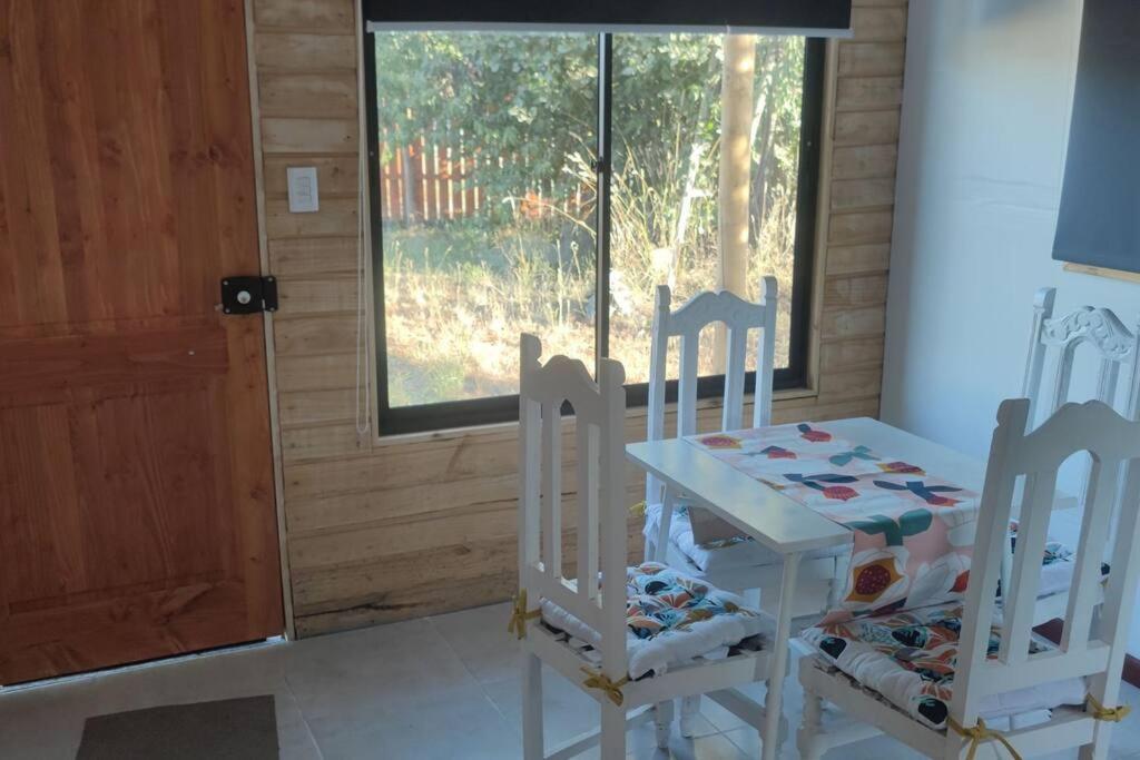 Apartamento En La Naturaleza Villarrica